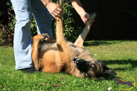 Aktives Bewegungstraining Gerätetraining