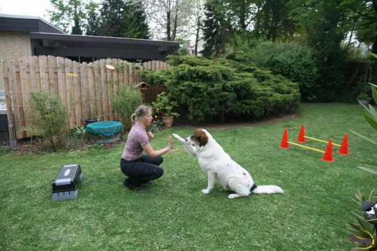 Aktives Bewegungstraining Gerätetraining