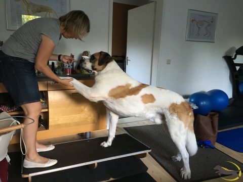 Aktives Bewegungstraining Gerätetraining