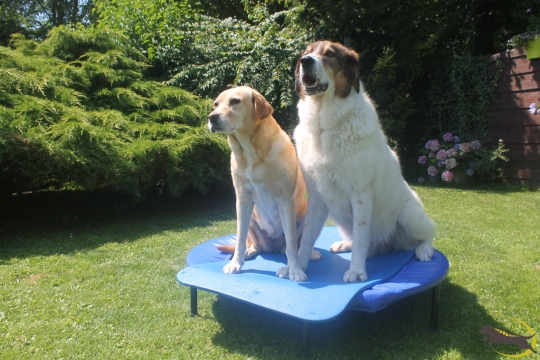 Rudi und Nele
