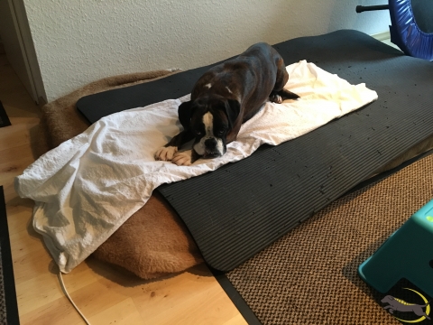 Bioresonanztherapie