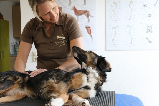 Dorntherapie