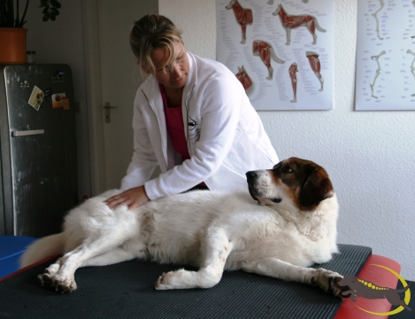 Dorntherapie