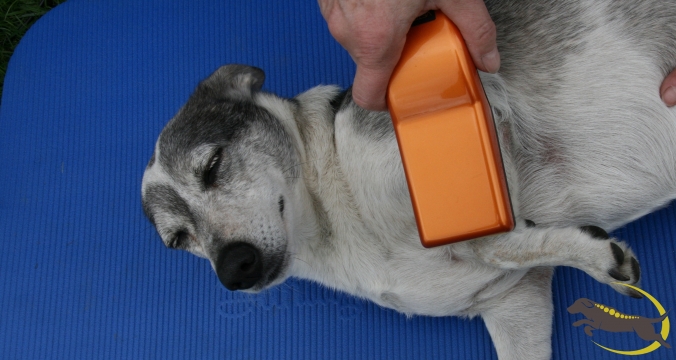Lasertherapie