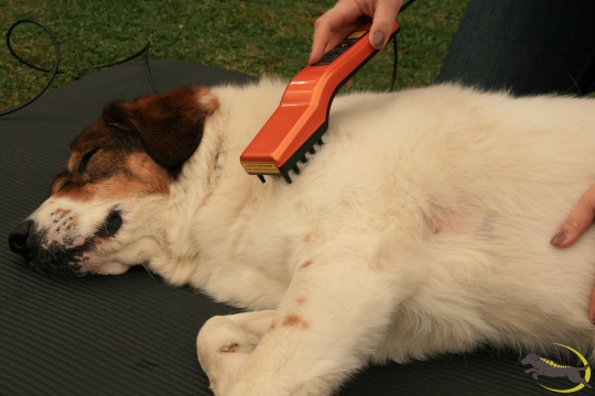Lasertherapie
