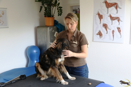 Manuelle Therapie
