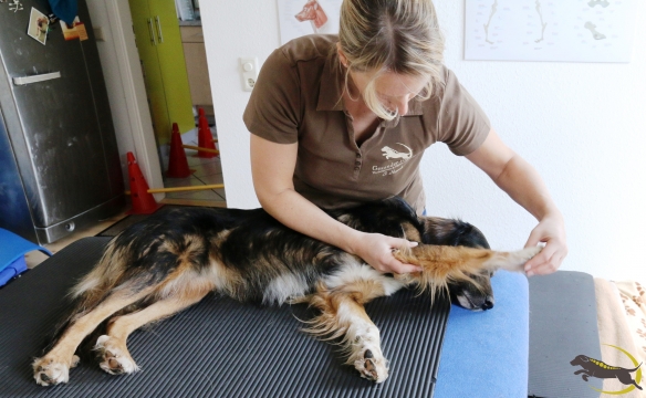 Manuelle Therapie