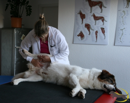 Massage und Breuss Massage