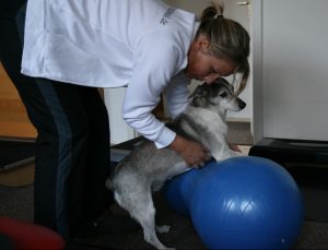 Angebotene Therapieformen