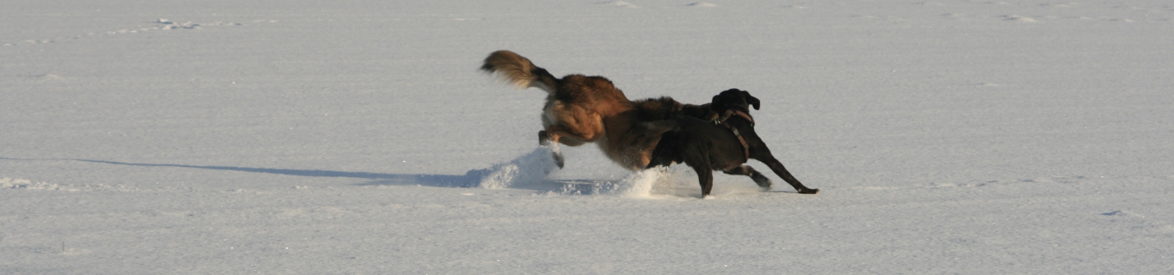 Meine Aus- und Weiterbildung